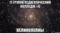 11 группа педагогический колледж #6 великолепны