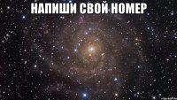 напиши свой номер 