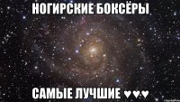 ногирские боксёры самые лучшие ♥♥♥