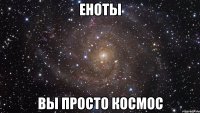 еноты вы просто космос