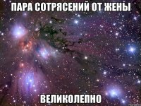 пара сотрясений от жены великолепно