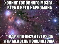 хокинг головного мозга - вера в бред наркомана "-иду я по лесу и тут из-за угла медведь появляется!?"