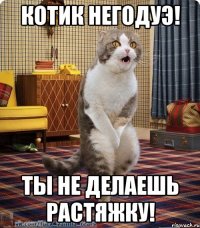 котик негодуэ! ты не делаешь растяжку!