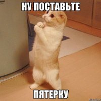 ну поставьте пятерку