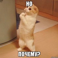 но почему?