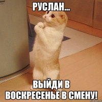 руслан... выйди в воскресенье в смену!