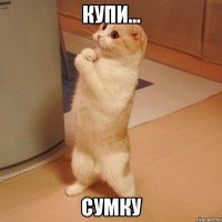 купи... сумку