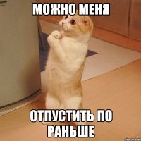 можно меня отпустить по раньше