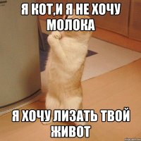 я кот,и я не хочу молока я хочу лизать твой живот