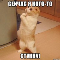 сейчас я кого-то стукну!