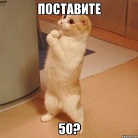 поставите 50?