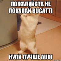 пожалуйста не покупай bugatti купи лучше audi