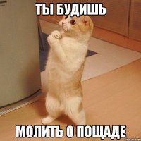 ты будишь молить о пощаде