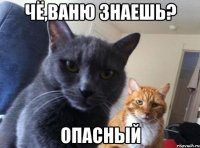 чё,ваню знаешь? опасный