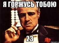 я горжусь тобою 23