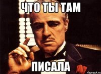 что ты там писала