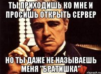 ты приходишь ко мне и просишь открыть сервер но ты даже не называешь меня "братишка"