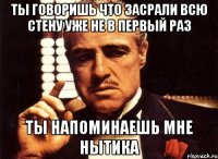 ты говоришь что засрали всю стену уже не в первый раз ты напоминаешь мне нытика