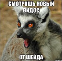 смотришь новый видос от шейда