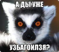 а ды уже узбагоилзя?