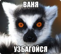 ваня узбагойся