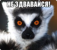 не здвавайся! 