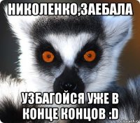 николенко,заебала узбагойся уже в конце концов :d