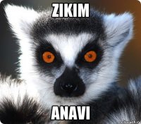 zikim anavi