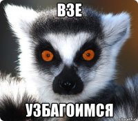 взе узбагоимся