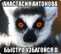 анастасия антонова быстро узбагойся:d