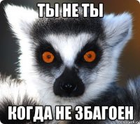 ты не ты когда не збагоен