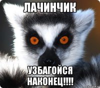 лачинчик узбагойся наконец!!!