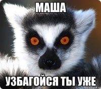 маша узбагойся ты уже