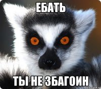 ебать ты не збагоин