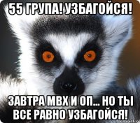 55 група! узбагойся! завтра мвх и оп... но ты все равно узбагойся!