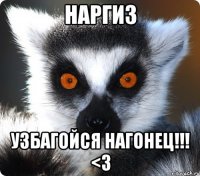 наргиз узбагойся нагонец!!! <3