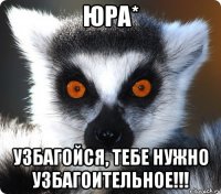 юра* узбагойся, тебе нужно узбагоительное!!!