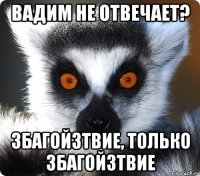 вадим не отвечает? збагойзтвие, только збагойзтвие