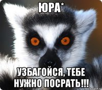 юра* узбагойся, тебе нужно посрать!!!