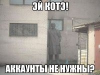 эй котэ! аккаунты не нужны?