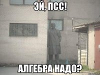 эй, псс! алгебра надо?