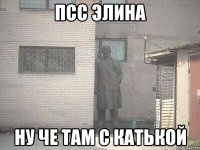 псс элина ну че там с катькой