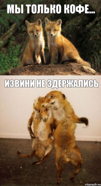 мы только кофе... извини не здержались