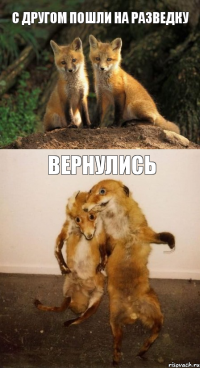 с другом пошли на разведку вернулись