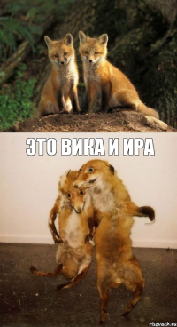  это вика и ира