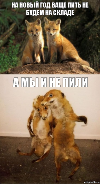 НА НОВЫЙ ГОД ВАЩЕ ПИТЬ НЕ БУДЕМ НА СКЛАДЕ А МЫ И НЕ ПИЛИ