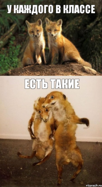 у каждого в классе есть такие