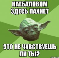 наебаловом здесь пахнет это не чувствуешь ли ты?