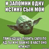 и запомни одну истину сын мой там будешь ловить сало по кд ты и не важно, в каст оно или нет..