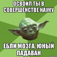 освоил ты в совершенстве науку ебли мозга, юный падаван